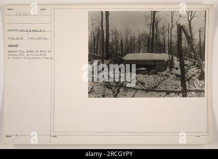 Una fotografia scattata il 27 gennaio 1919 dal sergente W.W. Campana della 37a Divisione, che mostra le caselle tedesche nel Bois de Chenes Woods, Mosa, Francia. L'immagine raffigura le strutture utilizzate dalle forze tedesche durante la prima guerra mondiale come posizioni difensive. Foto Stock