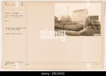 Vista interna ed esterna dello stabilimento di Toloul durante la prima guerra mondiale. Questa fotografia mostra una vista generale dell'impianto. L'immagine è stata scattata dall'N.A. Pettini il 6 febbraio 1919 e ricevuti il 15 febbraio 1919. E' stato approvato dal M.I.D. Censor il 19 febbraio 1919. Foto Stock