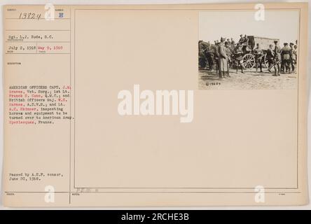 Ufficiali americani e britannici che ispezionavano cavalli e attrezzature da consegnare all'esercito americano a Eperlecques, in Francia. La foto è stata scattata il 2 luglio 1918 dal Sgt. L.J. Rode. Capitano J.M. Graves, i tenente Franck H. Conc, il maggiore W.C. Barnes, e il tenente A.C. Skinner può essere visto nell'immagine. La fotografia è stata approvata dalla A.E.P. censor il 20 giugno 1918. Foto Stock