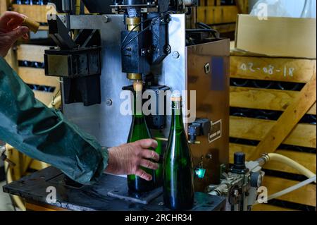 Procedura di sgorgamento e aggiunta di liquori dolci, metodo tradizionale di produzione di spumante da uve chardonnay e Pinor noir a Epernay, C Foto Stock