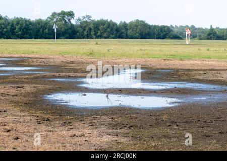 Dorney, Buckinghamshire, Regno Unito. 2 luglio 2023. Le acque alluvionali rimangono a Dorney Common con grande frustrazione degli abitanti del villaggio che vivono a Colenorton Crescent nella vicina Eton Wick. Gli abitanti del villaggio riferiscono che stanno ricevendo un "puzzo di acque reflue”, soprattutto la sera. L'acqua del Tamigi può essere scaricata nel canale Roundmoor accanto al comune; tuttavia, il monitoraggio della durata degli eventi mostra che l'ultima scarica nel canale Roundmoor è avvenuta a gennaio. Una parte dell'acqua alluvionale sta ora cominciando a calare, ma è stata particolarmente negativa nelle ultime settimane nonostante la scarsa pioggia. Credito: Maureen Foto Stock