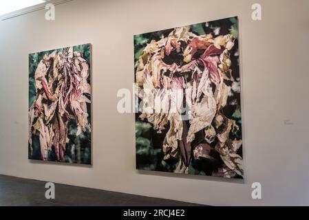 Mostra retrospettiva di Philippe Cognée al Musée Bourdelle. Parigi, Francia Foto Stock