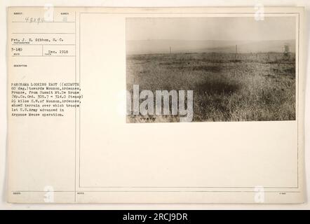 Pvt. J. E. Gibbon della S.C. ha scattato questa foto nel dicembre 1918. Mostra un panorama che guarda ad est verso Mouzon, Ardennes, Francia, dalla vetta del Monte De Brune. La posizione è 2 chilometri a sud-ovest di Mouzon e il terreno raffigura l'area dove il primo U.S. L'esercito avanzò durante l'operazione Argonne Meuse. Foto Stock