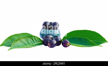 Foglie fresche di Jamun con frutti maturi su sfondo bianco. Frutta sana in un recipiente di ceramica. Foto Stock