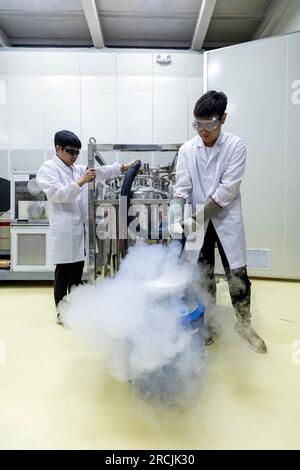 (230715) -- XICHANG, 15 luglio 2023 (Xinhua) -- i ricercatori versano azoto liquido in una pentola per l'esperimento presso il China Jinping Underground Laboratory nella provincia del Sichuan nel sud-ovest della Cina, 3 luglio 2023. Il monte Jinping, situato nel bacino idrografico del fiume Yalong, il più grande affluente del fiume Jinsha, ha l'altitudine più alta di 4.410 metri. Il China Jinping Underground Laboratory (CJPL) si trova al centro del tunnel di Jinping lungo 17,5 chilometri nella provincia del Sichuan della Cina sud-occidentale. Il laboratorio, inaugurato nel 2010, è una struttura di ricerca sotterranea con una roccia ricoperta Foto Stock