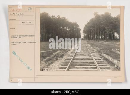 Vista aerea della Aviation Experiment Station di Hampton, Virginia, durante la prima guerra mondiale. La fotografia mostra un taglio attraverso gli alberi che conduce all'impianto di idrogeno della stazione. Questa immagine è stata scattata il 1° agosto 1917 ed è etichettata solo per uso ufficiale. Foto Stock