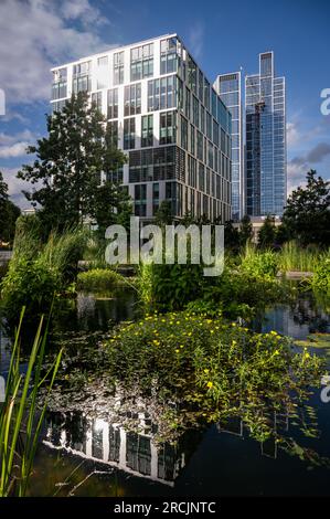 Nine Elms, Londra, Regno Unito: Embassy Gardens vicino all'ambasciata degli Stati Uniti a Londra. Laghetto con piante d'acqua e nuovi edifici di Nine Elms alle spalle. Foto Stock