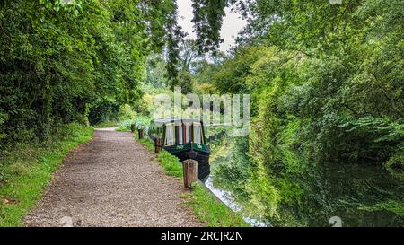 Wey Navigation e Basingstoke Canal l'intero percorso blocca la pista ciclabile delle barche dei canali Foto Stock