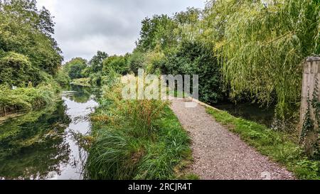 Wey Navigation e Basingstoke Canal l'intero percorso blocca la pista ciclabile delle barche dei canali Foto Stock