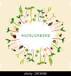 Cornice circolare Microgreen. Coltivare semi, piantare con foglie. Germogli verdi. Germinazione delle verdure. Elemento decorativo isolato. Logo ECO o decorazioni con emblemi. Illustrazione Vector Organic Healthy food Illustrazione Vettoriale