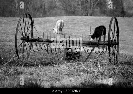Un rastrello da fieno d'epoca trainato da cavalli abbandonato in un campo in una fattoria ad Abingdon, Virginia. Foto Stock