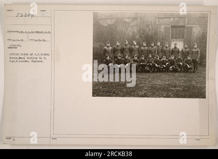 Forza di uffici degli Stati Uniti Signal Corps Personnel che lavora nella sezione base No. 3, Service of Supply (S.O.S.), a Londra, Inghilterra. La foto è stata scattata da Subiect Sunter, un fotografo del Signal Corps, il 10 gennaio 1919. L'immagine mostra il personale dell'ufficio in abiti e seduti alle scrivanie. Foto Stock