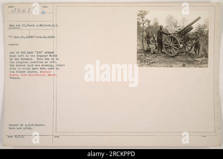 Questa foto, scattata il 10 ottobre 1918, mostra Sgt. 1st Cl. Frank A. Wallock in piedi accanto a uno dei molti "105" cannoni tedeschi lasciati nei boschi di Argonne dai tedeschi durante la prima guerra mondiale. La pistola è nella sua posizione originale, con solo il blocco di sicurezza mancante. Questa foto è stata rilasciata da W.P.C. e passata da A.E.F. Censor. Foto Stock