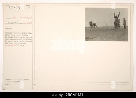 I soldati del 164th Infantry Regiment, parte della 1st Army Corps School a Gondrecourt, Francia, sono visti in questa fotografia che stabilisce un grembiule doppio da 50 metri di impigliamenti di filo spinato in soli 10 minuti e 14 secondi. Questa impresa stabilì un record dell'American Expeditionary Force (A.E.F.). La foto è stata scattata il 16 agosto 1918 dal Sgt. J.J. Marshall and fu presentato il 21 settembre 1918. È stato approvato dalla censura A.E.F. ma la data di approvazione è sconosciuta. Foto Stock