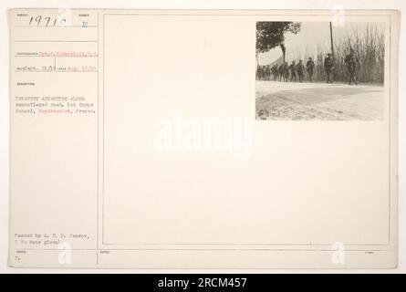 Soldati di fanteria che avanzano lungo una strada camuffata in Francia. Fotografia scattata il 16 agosto 1918 dal Sgt. J.J. Marshall della 1st Corps School a Gondrecourt. L'immagine è stata passata da A.E.P. Censura, ma la data della censura è sconosciuta. Etichettato come "19710" nella raccolta. Foto Stock