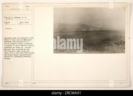 Pvt. J. E. Gibbon, S.C., scattò questa fotografia il 1 dicembre 1919, da un punto sopraelevato a circa 1 km a est di Beaumont Ardennes (MP.Co-ord.307.2- 307,8 Stenay). L'immagine mostra una vista panoramica che guarda verso Eton, Ardennes. Quest'area fu catturata dalla 2nd Division, 5th Army Corps, 1st Army, U.S.A. il 5 novembre 1918, durante la fase finale dell'operazione Argonne-Meuse. La posizione è Beaumont, Ardennes, Francia. Foto Stock