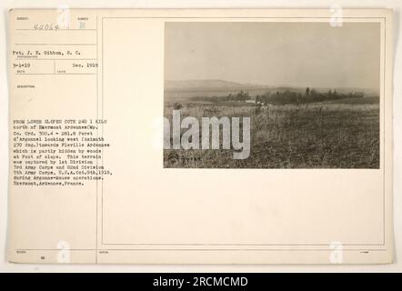 Pvt. J. E. Gibbon degli Stati Uniti L'Army Signal Corps scattò questa fotografia (numero B) dalle pendici inferiori della Cote 240, un chilometro a nord di Exermont, Ardennes. La fotografia mostra la vista che guarda ad ovest (Azimuth 270 gradi) verso Fleville, Ardennes, parzialmente nascosta da boschi ai piedi del pendio. Questo terreno fu catturato dalla 1st Division, 3rd Army Corps, e dalla 82nd Division, 5th Army Corps degli Stati Uniti durante le operazioni Argonne-Meuse il 9 ottobre 1918. Questa foto è stata scattata nel dicembre 1918. Foto Stock