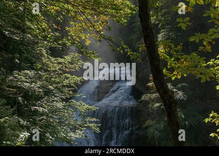 Splendida cascata Cascada de la Cueva di rio Arazas nel Parco Nazionale di Ordesa , Aragona, Huesca, Spagna Foto Stock