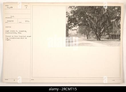 Camp Joseph E. Johnston a Jacksonville, Florida. Questa foto mostra una strada al base Hospital con un reparto convalescente sulla destra. La foto è stata scattata il 24 settembre 1919 e la descrizione è stata emessa con il simbolo A. la foto ha le note "062269". Foto Stock