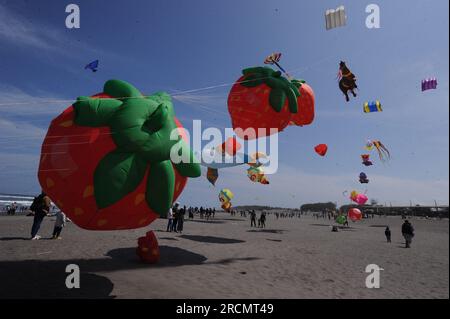 Parangkusumo Beach, Indonesia. 15 luglio 2023, parang kusumo, Yogyakarta, Indonesia: Centinaia di aquiloni di varie forme animano il Festival Internazionale degli aquiloni nella zona della spiaggia di Parangkusumo il 15 luglio 2023. Decine di club di operai e camerieri di varie regioni dell'Indonesia e a livello internazionale hanno partecipato a questo evento che mira a educare il pubblico sull'arena sicura per gli aquiloni. Crediti: ZUMA Press, Inc./Alamy Live News Foto Stock