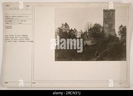 Vecchie rovine di Hof Grenzau a Grenzau, Germania. La vista è catturata da una collina adiacente al sito, che mostra la torre di circa 70 metri di questo castello. Fotografia scattata dal 2° tenente Natr.L. Dewell il 14 aprile 1919, con il fotografo numero 51707. Questa immagine è assegnata alla collezione RECO 3072-19 ed è stata pubblicata il 5 gennaio 1919. Note DMC di riferimento, MENART T 151707 T.' Foto Stock