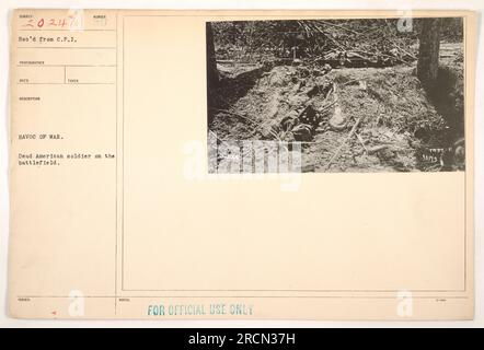 Immagine che raffigura le conseguenze della guerra, con un soldato americano defunto sul campo di battaglia. Questa foto cattura la dura realtà e la devastazione della prima guerra mondiale. Annotata come documentazione ufficiale, ricevuta nel 1931." Foto Stock