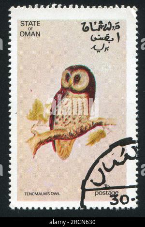 OMAN - CIRCA 1972: Timbro stampato dall'Oman, mostra il gufo di Tencmalm, circa 1972 Foto Stock