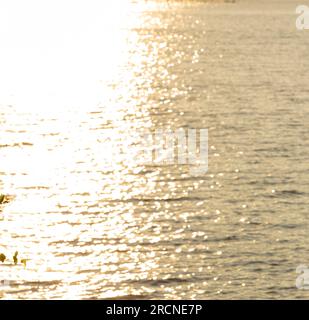 La superficie dell'acqua riflette la luce del sole in oro, l'immagine è sfocata, non nitida. L'orientamento dell'immagine può essere utilizzato come sfondo o grafico. Foto Stock