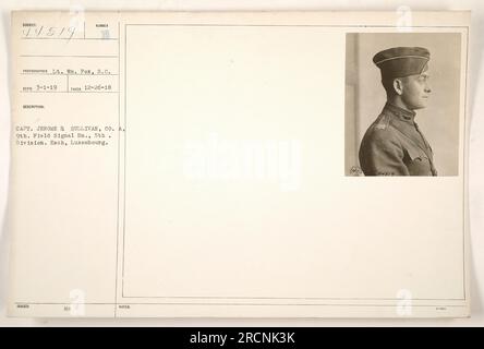 Capitano Jerome A. Sullivan, della compagnia A, 9th Field Signal Battalion, 5th Division, fotografato a Esch, Lussemburgo durante la prima guerra mondiale. Foto scattata dal tenente WM. Fox il 26 dicembre 1918. Questa immagine è stata emessa con la designazione 44519 e può essere trovata nella collezione delle attività militari americane durante la guerra. Foto Stock