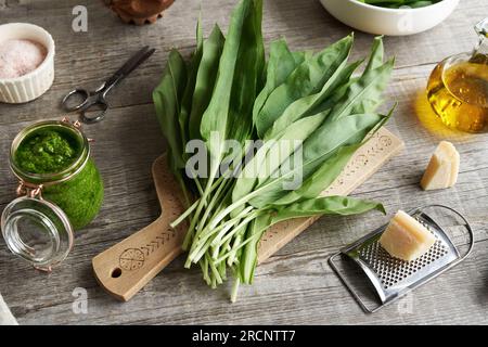 Foglie fresche di aglio selvatico su un tavolo, con olio e parmigiano Foto Stock