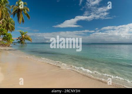 Piccola spiaggia dell'isola nei Caraibi, Zapatilla Key, Bocas del Toro, panama, America centrale - foto stock Foto Stock