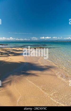 Spiaggia caraibica, Zapatilla Key, Bocas del Toro, panama, America centrale - foto stock Foto Stock