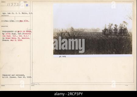 Sgt. 1° cl. C. H. White del reggimento della Carolina del Sud è visto in questa fotografia scattata il 2 maggio 1918. L'immagine cattura il bombardamento di Bois de Chein da parte del 167th Regiment Infantry (ex 4th Regiment Infantry, Alabama National Guard) a Grand Bois, St. Maurice, Francia. La foto è stata censurata e pubblicata dal M.I.B. censor il 10 giugno 1918. Foto Stock