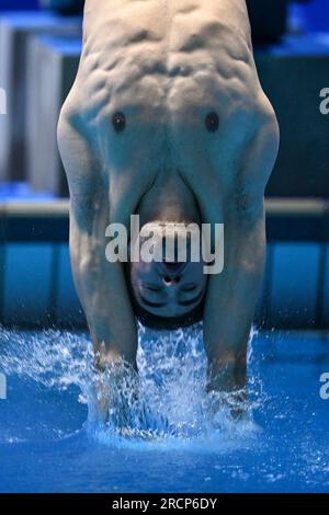 Fukuoka, Giappone. 16 luglio 2023. Il francese Jules Bouyer gareggia durante la finale maschile del trampolino di lancio da 1 m dei Campionati mondiali di acquacoltura 2023 a Fukuoka, in Giappone, il 16 luglio 2023. Crediti: Xu Chang/Xinhua/Alamy Live News Foto Stock