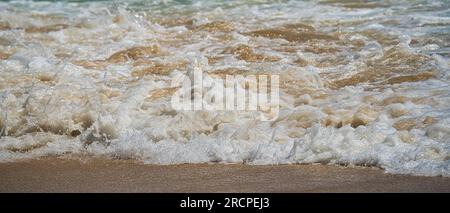 Onde piccole che creano schiuma sulla spiaggia con sabbia bianca, giorno caldo e mare calmo, Mahe Seychelles Foto Stock