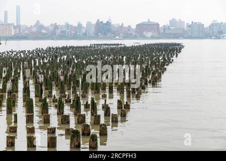 Vista panoramica di oltre centinaia di vecchi sostegni in legno del fiume Hudson sul lato del New Jersey con una prospettiva prospettica in scomparsa verso Manhattan Foto Stock