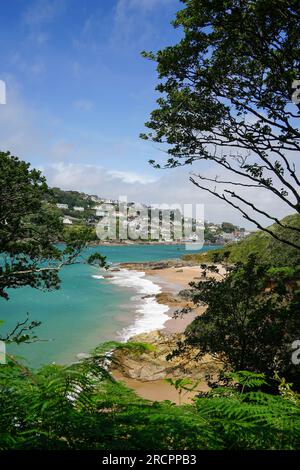 Vista del porto di Salcombe e della spiaggia di Sunny Cove nel South Devon, South Hams, Regno Unito Foto Stock