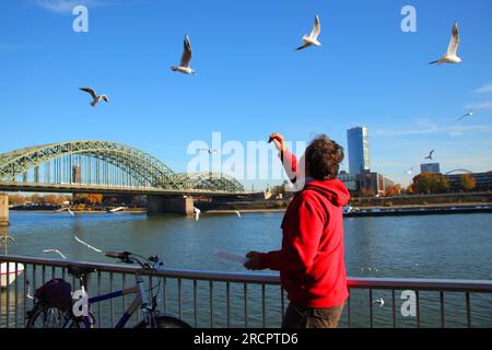 Fiume Reno, Colonia, Renania settentrionale-Vestfalia, Germania Foto Stock