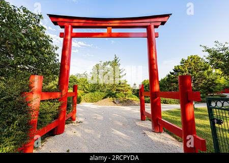 Le jardin japonais à Digione en début d'été. Il giardino giapponese a Digione all'inizio dell'estate. Foto Stock