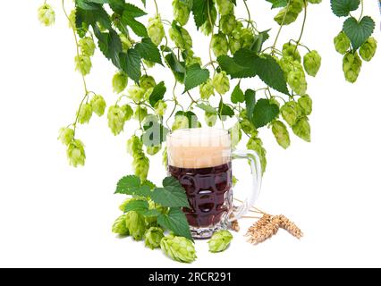 birra con viti di luppolo isolate su sfondo bianco Foto Stock