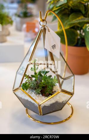 La Paz, la Paz, Bolivia – 12 agosto 2022: Terrarium in Glass and Metal to Hang in a Shop with Note that says : “Terrarium to Hang, 215 Bolivian Mone Foto Stock