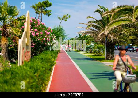 Sentiero pedonale e pista ciclabile. Passerella pedonale rossa e pista ciclabile verde. Circondato da palme, fiori e altra vegetazione esotica. Foto Stock