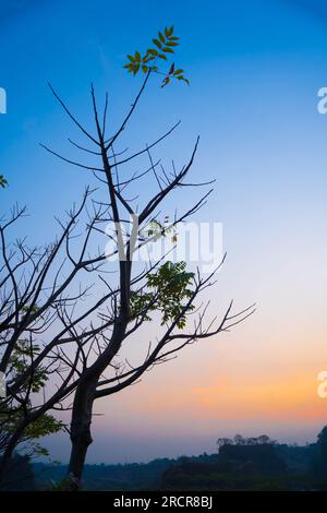 Silhouette di alberi contro il cielo arancione e viola a Ranu Manduro, Mojokerto, Indonesia. Fotografia naturalistica e paesaggistica. Foto Stock