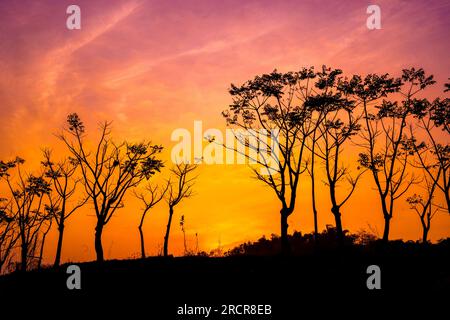 Silhouette di alberi contro il cielo arancione e viola a Ranu Manduro, Mojokerto, Indonesia. Fotografia naturalistica e paesaggistica. Foto Stock