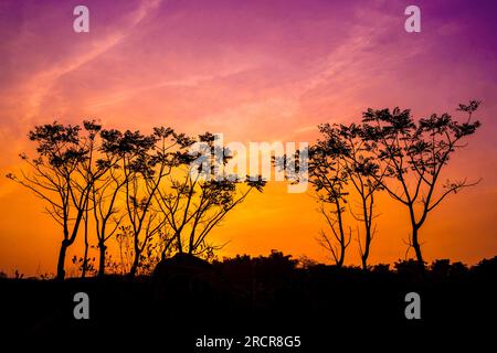 Silhouette di alberi contro il cielo arancione e viola a Ranu Manduro, Mojokerto, Indonesia. Fotografia naturalistica e paesaggistica. Foto Stock