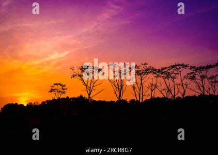 Silhouette di alberi contro il cielo arancione e viola a Ranu Manduro, Mojokerto, Indonesia. Fotografia naturalistica e paesaggistica. Foto Stock