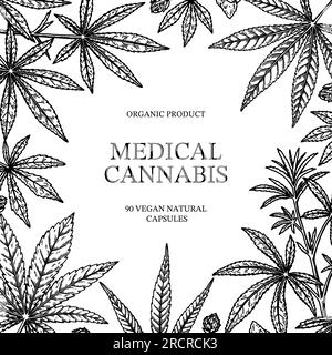 Design quadrato cannabis per packaging, post sui social media, decorazione di negozi, branding, certificati. Illustrazione vettoriale di marijuana in stile schizzo. Orlo Illustrazione Vettoriale