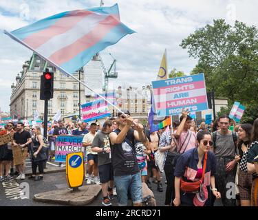 I manifestanti sventolano una bandiera trans e tengono un cartello durante il London Trans Pride Foto Stock