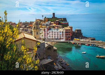 Fiori colorati sul pendio nel giardino. Ottima vista dal sentiero escursionistico con il villaggio di Vernazza e il piccolo porto, le cinque Terre, la Liguria, l'Italia, l'UE Foto Stock