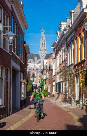 Frankestraat, Haarlem, Olanda settentrionale, Paesi Bassi, Foto Stock